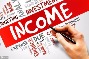 高新技術企業中信息科技領域技術開發的產品服務收入探析